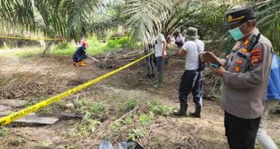 Warga Kecamatan Keluang Mendadak Geger Saat Penemuan Mayat di Kebun Sawit